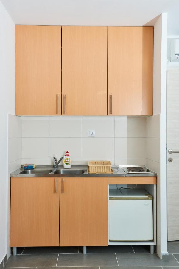 Ferienwohnung Sakota Family House Sremska Kamenica Exterior foto