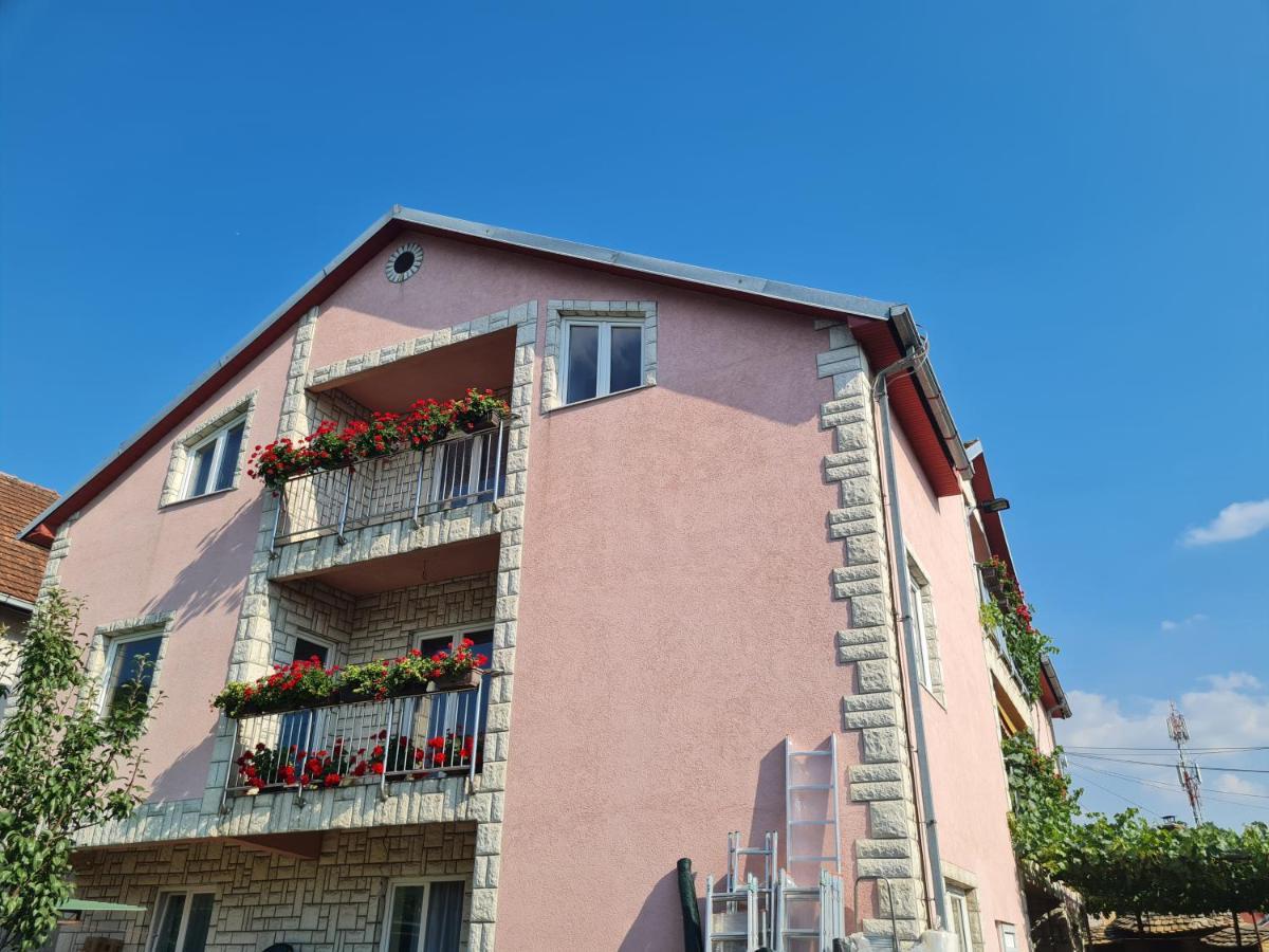 Ferienwohnung Sakota Family House Sremska Kamenica Exterior foto